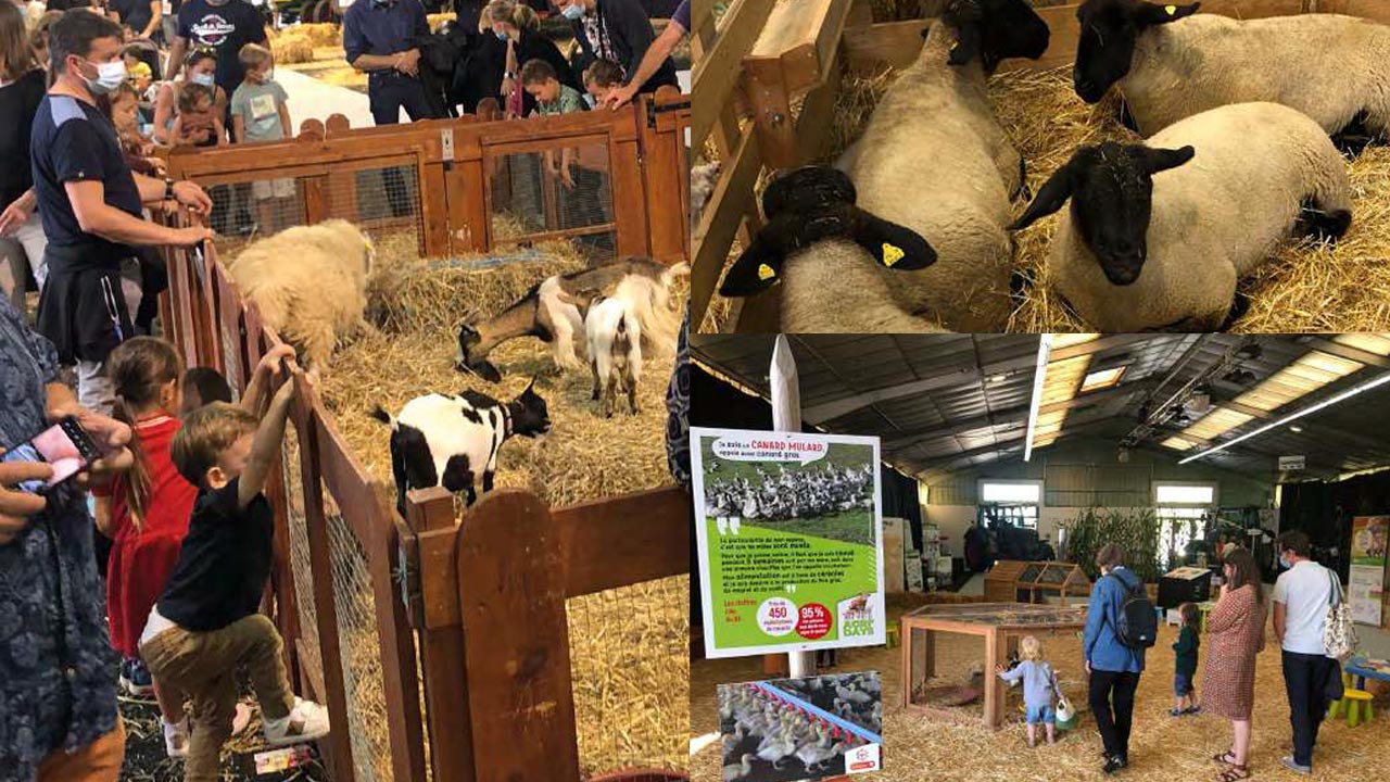 tous-a-la-ferme