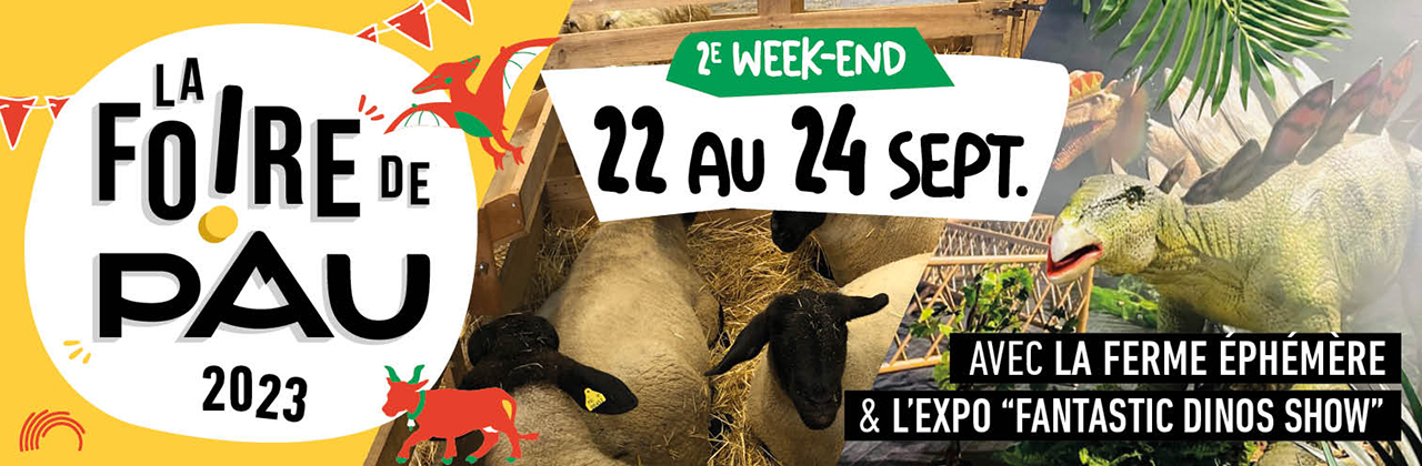 foire de pau week end 2