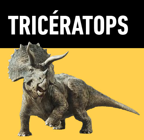 01 triceratops