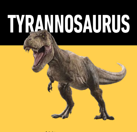 02 tyrannosaurus
