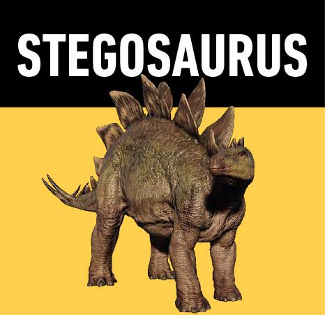 03 stegosaurus