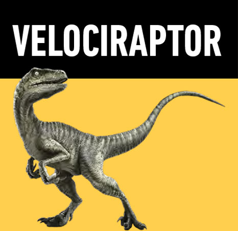 04 velociraptor