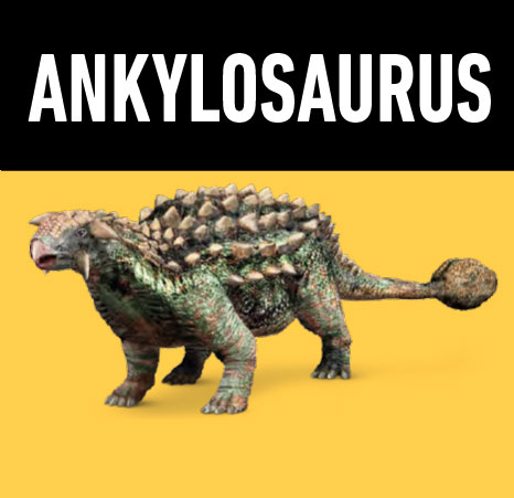 06 ankylosaurus