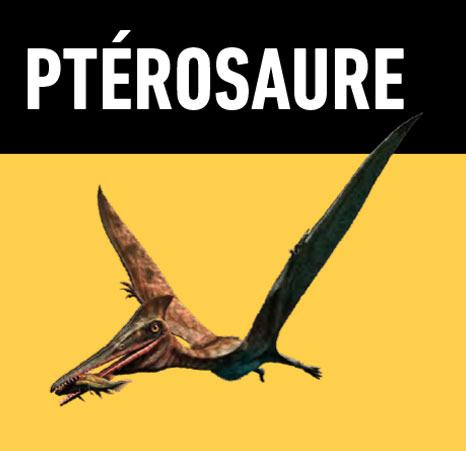 08 pterosaure