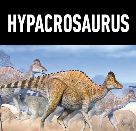 15 hypacrosaurus